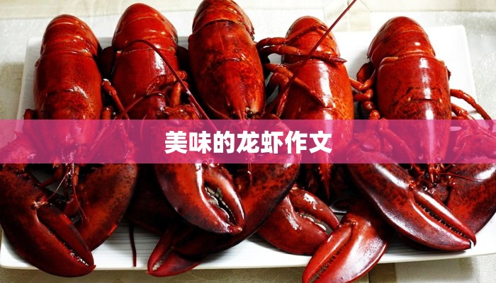 美味的龙虾作文