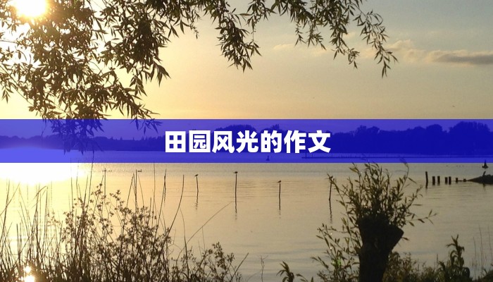 田园风光的作文