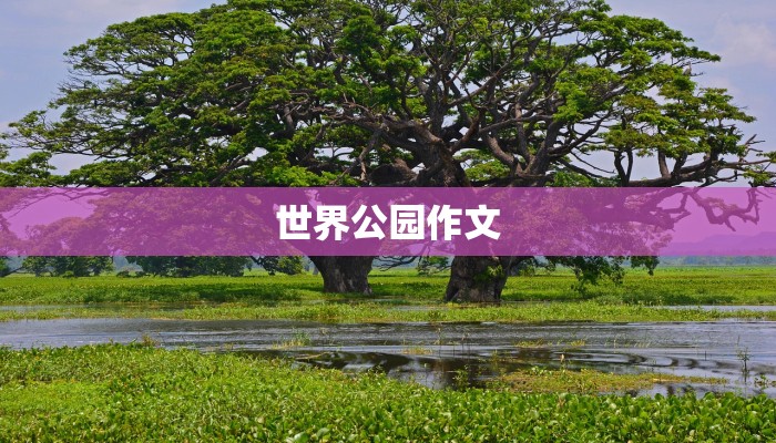 世界公园作文