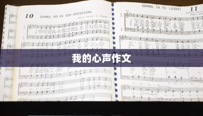 我的心声作文