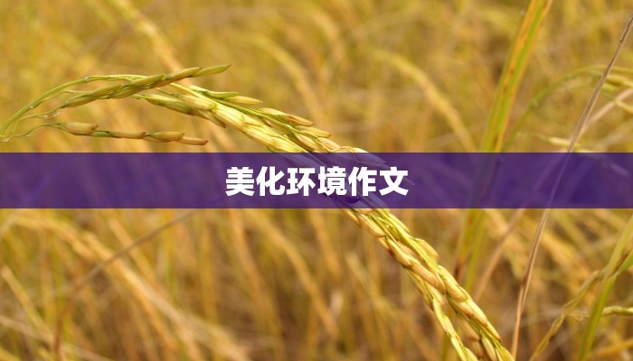 美化环境作文 美化环境作文