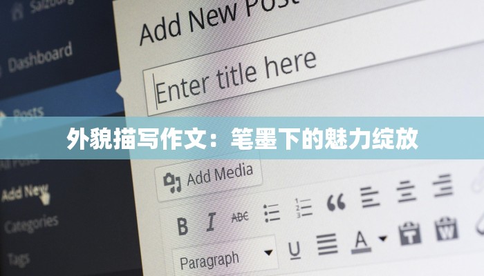 外貌描写作文：笔墨下的魅力绽放