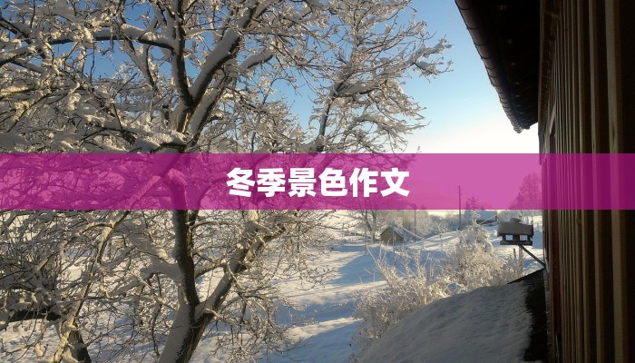 冬季景色作文