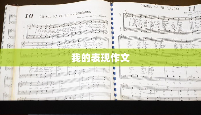 我的表现作文