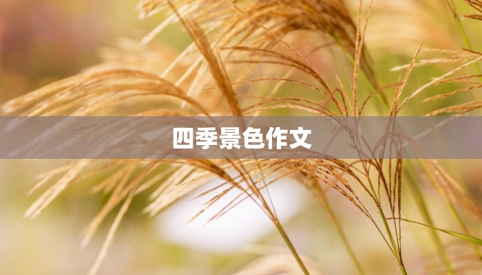 四季景色作文