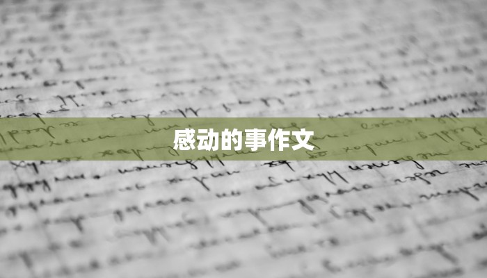 感动的事作文