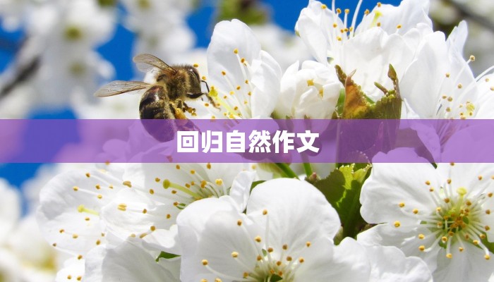 回归自然作文