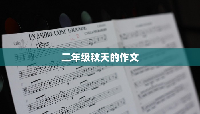 二年级秋天的作文
