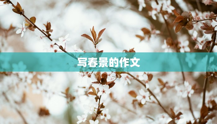 写春景的作文