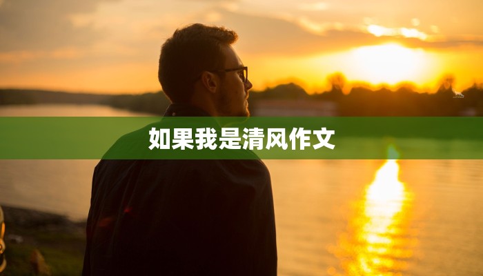 如果我是清风作文