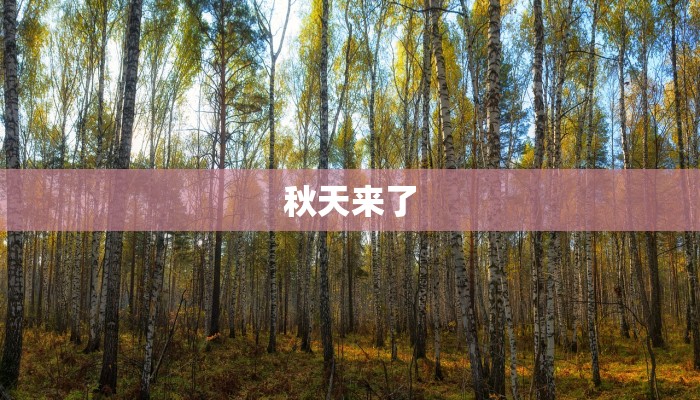 秋天来了