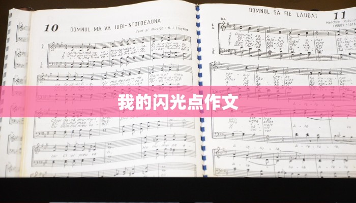 我的闪光点作文