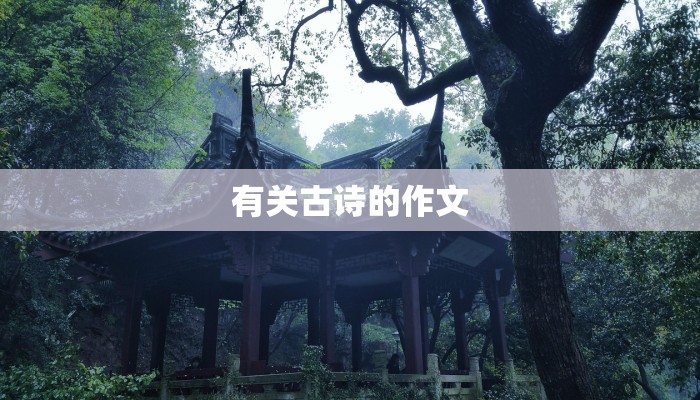 有关古诗的作文