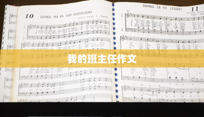 我的班主任作文