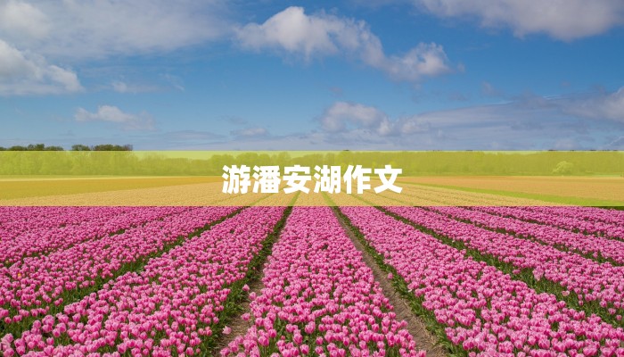 游潘安湖作文