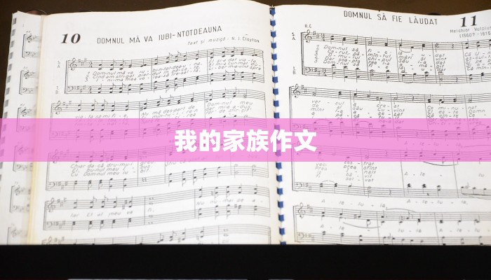我的家族作文