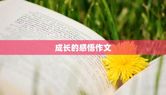成长的感悟作文