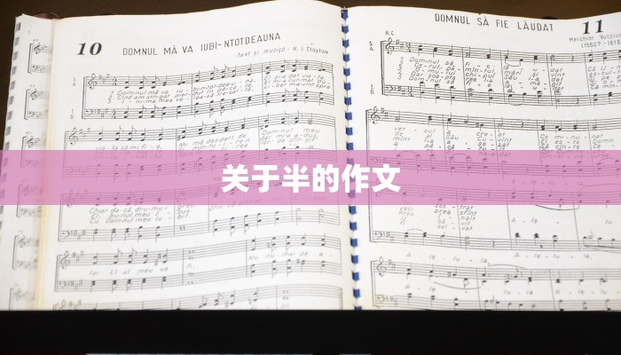 关于半的作文