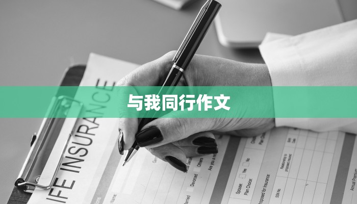 与我同行作文
