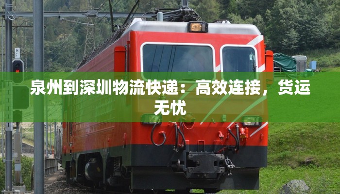 泉州到深圳物流快递：高效连接，货运无忧