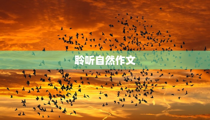 聆听自然作文